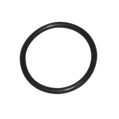 9.5MMX1MM 55165 O-RING