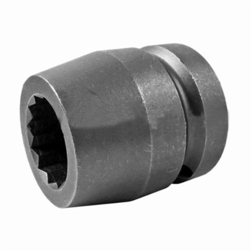 SOCKET 1 SQ DR 1 DBL-HEX 2-1/8 OAL