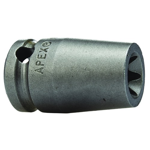 SOCKET 1/4DR E5 TORX 1in OAL MAG