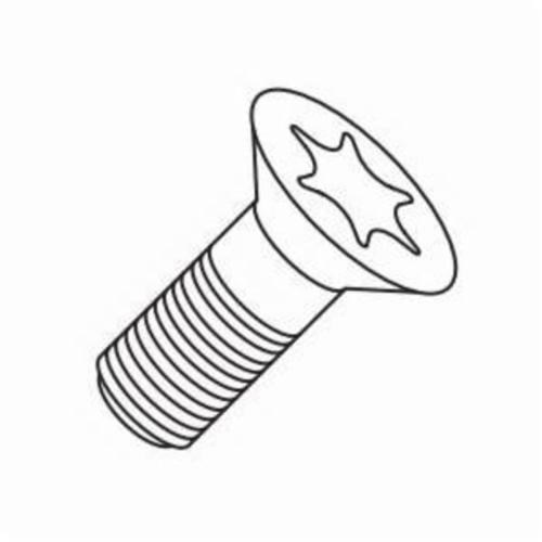 SCREW LOCK COOLANT CLAMP/INSR TORX T6