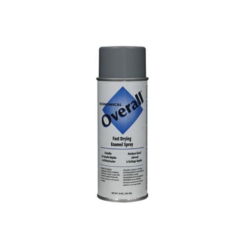 10OZ OVERALL SPRAY 2413830 GLOSS GRAY