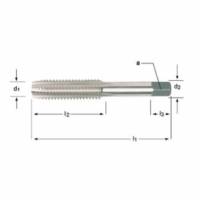 1-1/4-12 H4 6FL PTD PLUG TAP