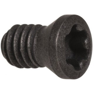 FS1455 CLAMPING SCREW