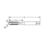 1/4-20 NC SPGP H3 2F GP PLUG SP TAP TIN