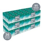 WHITE FACIAL TISSUE 2-PLY 95/BX