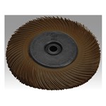 6X1/2X1 36X RADIAL BRISTLE BRUSH BROWN