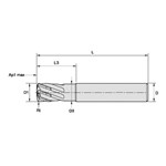 END MILL 6MM 0.2MM 4 6MM 63MM ALTIN CTD